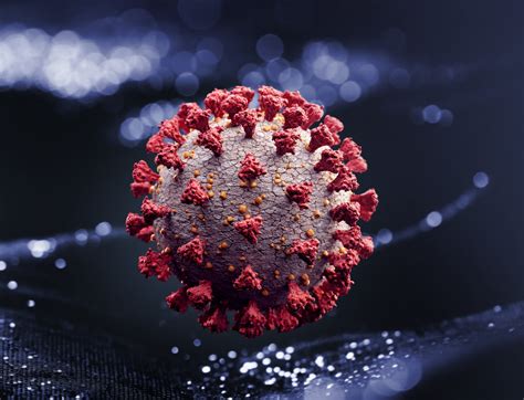 are there viruses similar to covid